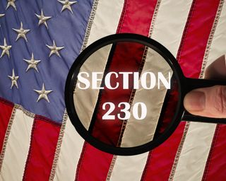 Section 230 on a flag under a microscope