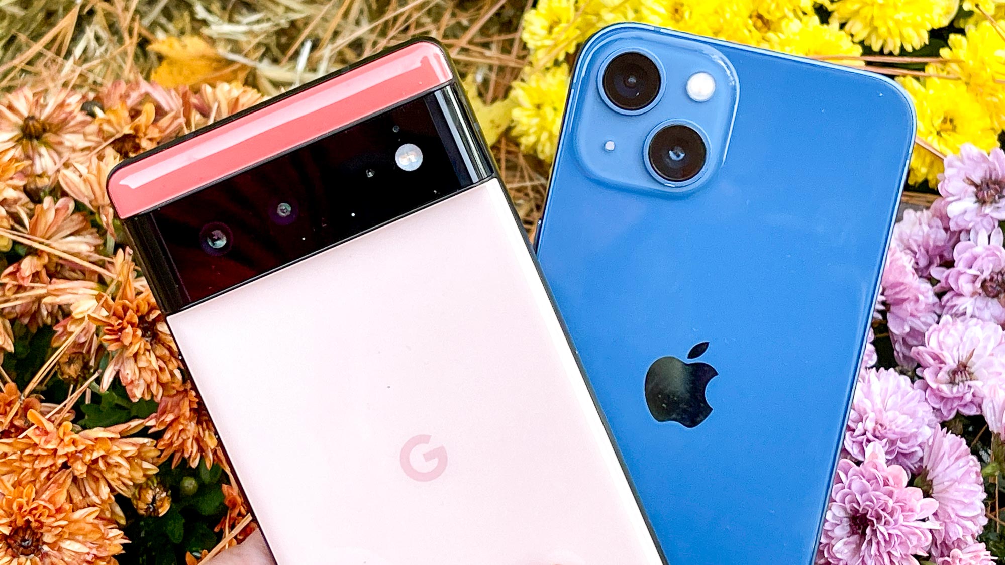 is google pixel or iphone better