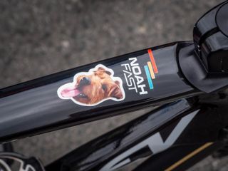 Dogs of the Tour de France