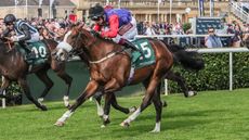 Queen&rsquo;s horses Royal Ascot King&rsquo;s Lynn