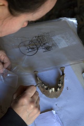 Some of the skeletal remains found near Pompeii.