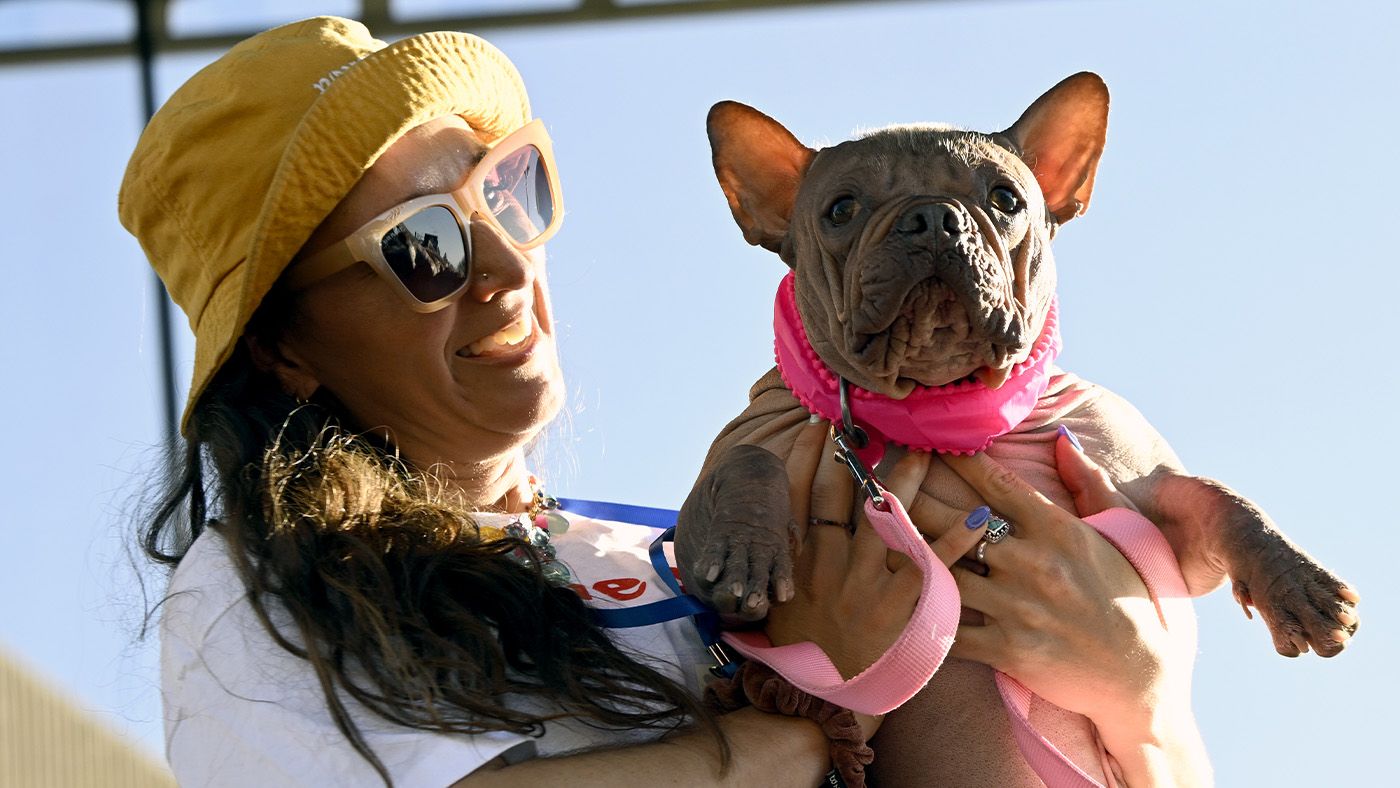 Hairless Bulldog Petunia wins World’s Ugliest Dog contest