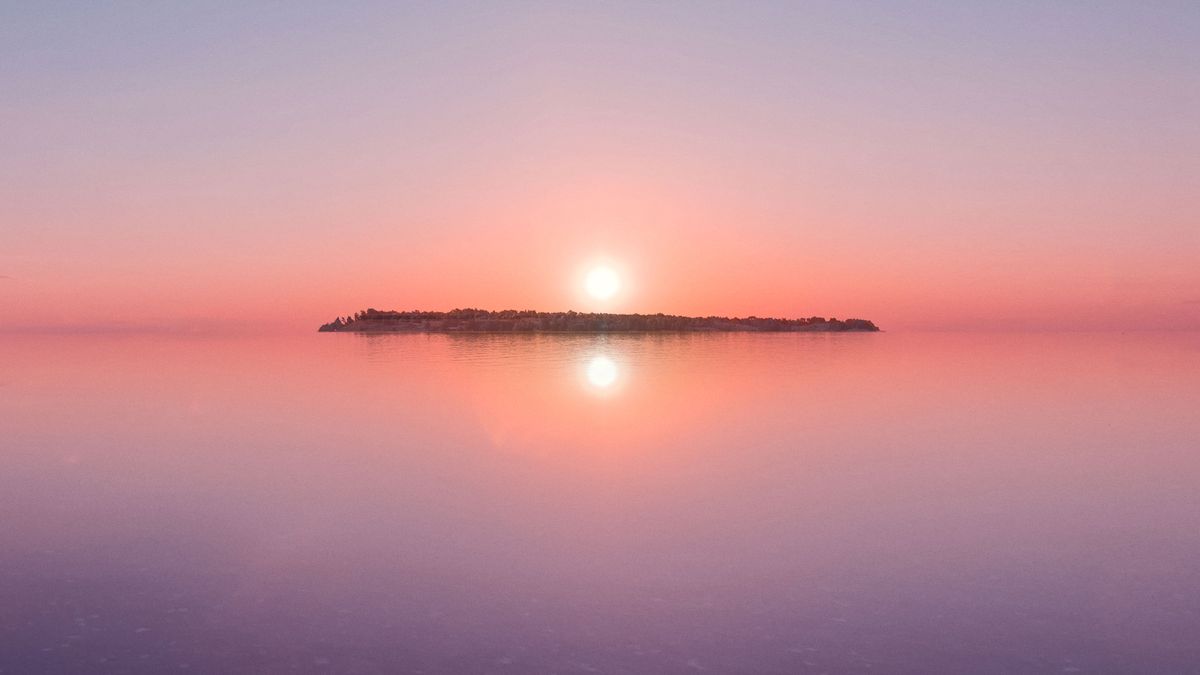 Helsinki Biennial 2023: what to see - Vimarsana News