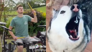 Drummer Joe Button on TikTok and howling husky