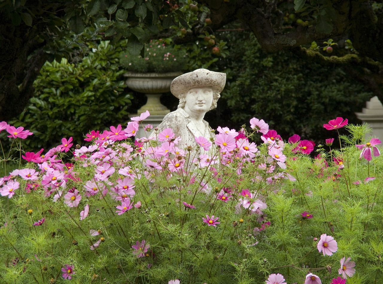 Garden statues look great standing among the flowers