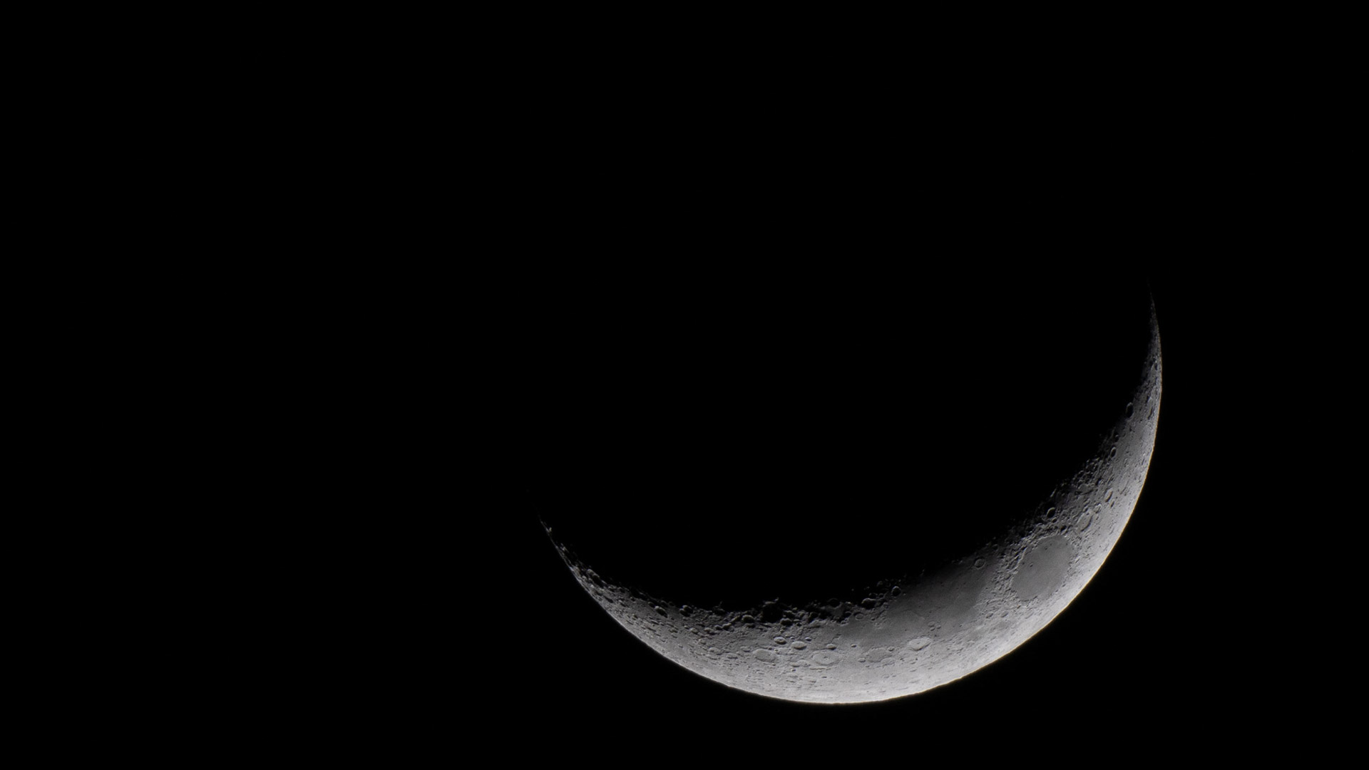 Nikon Z9 Experiential