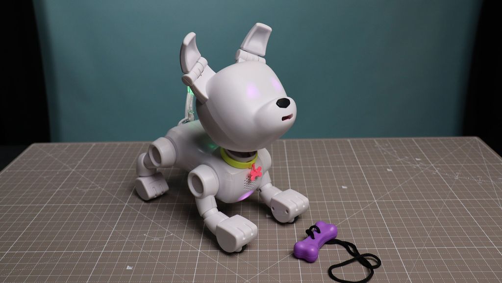 meet-spot-the-robot-dog-at-the-carlisle-support-services-innovation