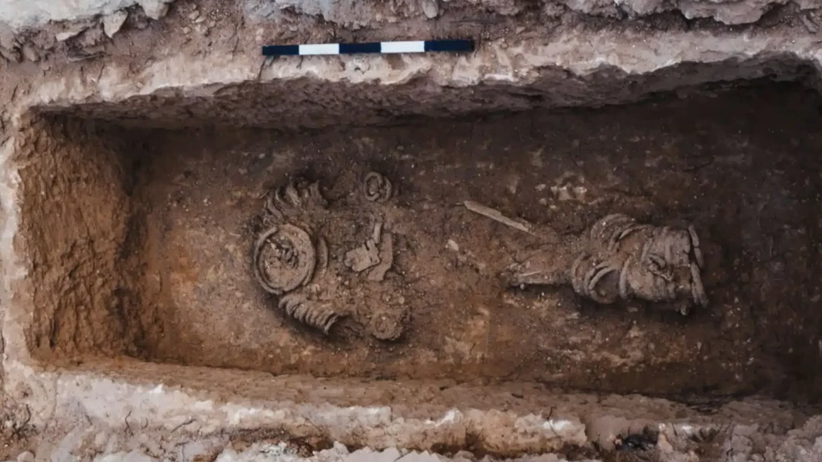 Image from above of an excavated grave revealing numerous thick metal chain links surrounding a human skeleton.