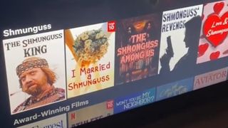 The Shmunguss category on Netflix, according to a video on TikTok