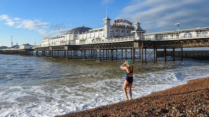 Swimmer on Brighton Beach © Simon Dack / Alamy