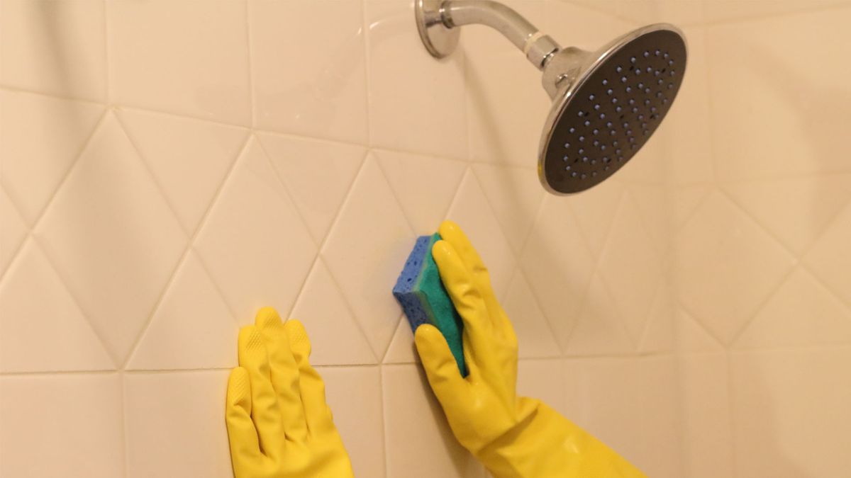 What is the dishwasher tablet in shower hack? Top Ten Reviews