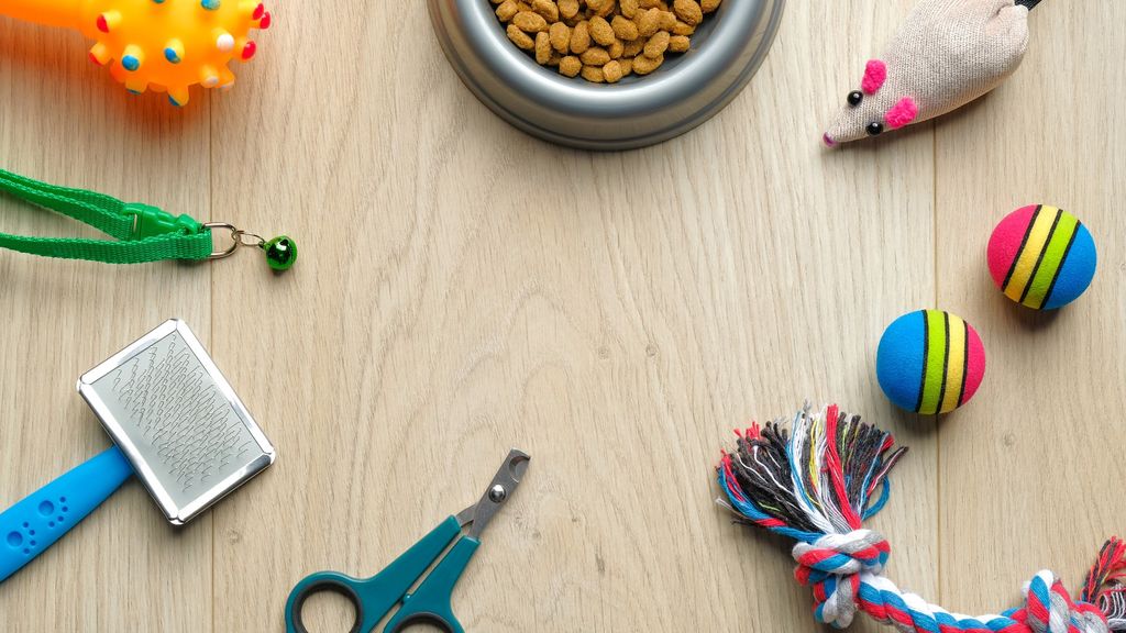 10 pet products every pet owner must have PetsRadar