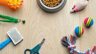 Selection of dog and cat toys