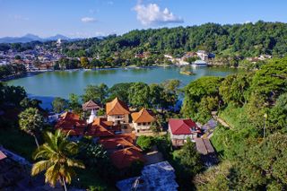 lake in rainforest in Sri Lanka