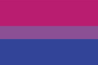 bisexual pride flag vector illustration a graphic element