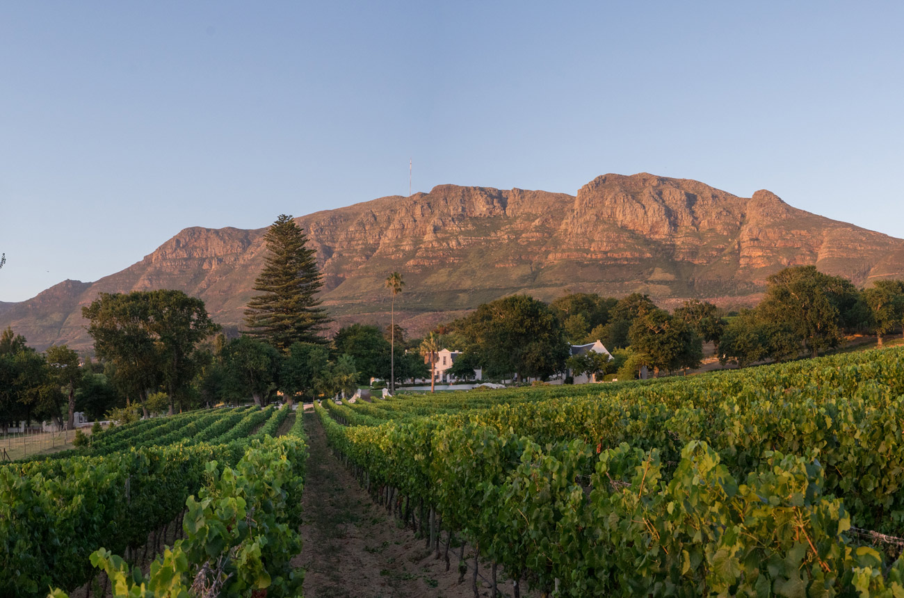 PIWOSA_Klein-Constantia.jpg