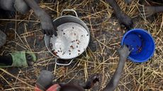 Children collecting grain