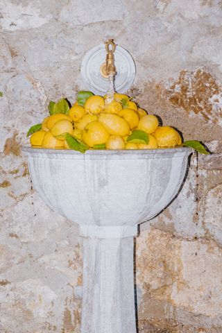 Lemons in ornate sink with tap flowing