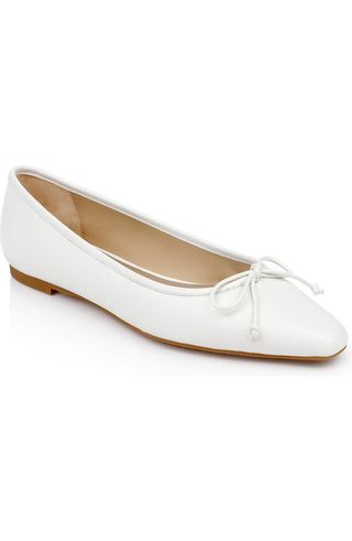 Cam Pointed Toe Ballet Flat