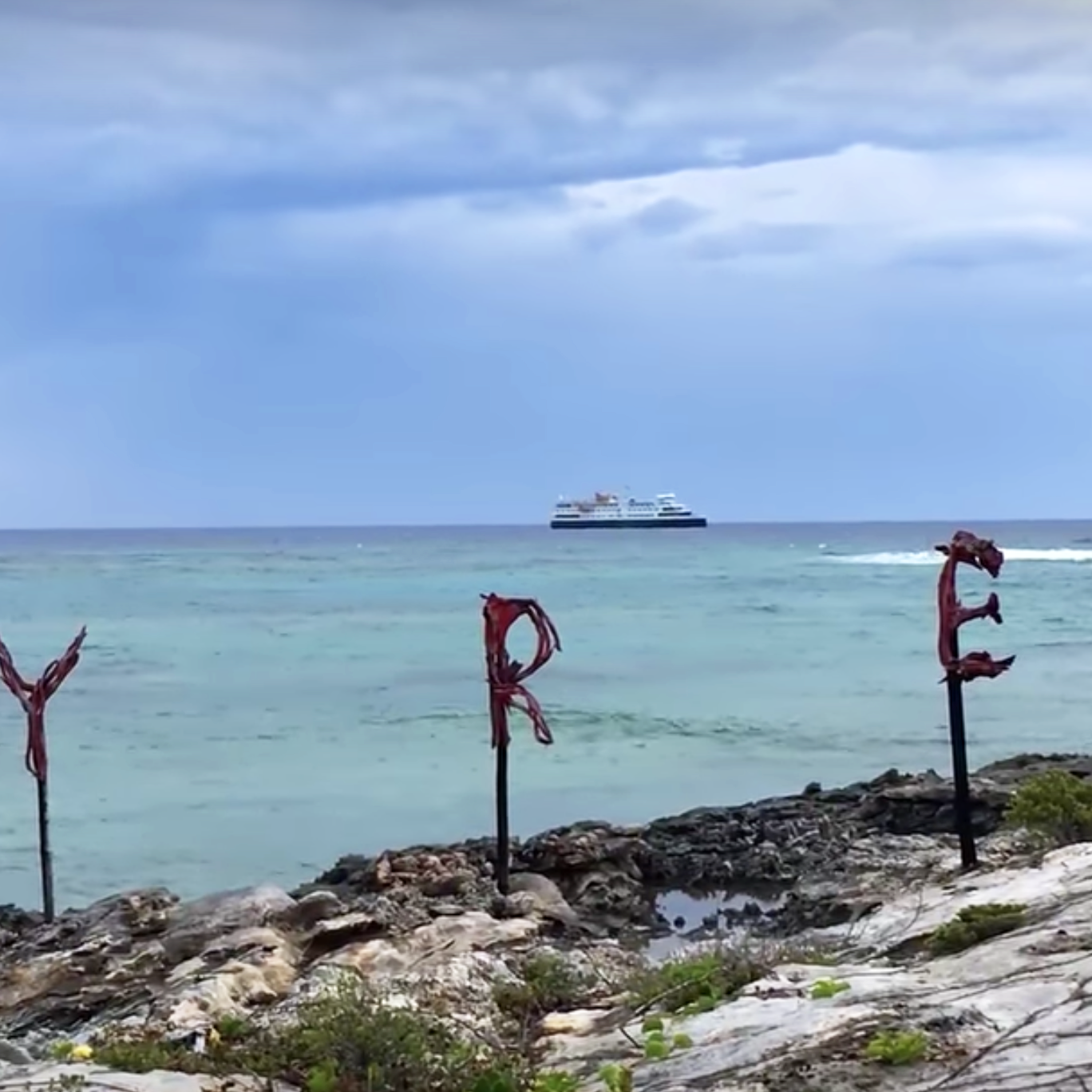 Who Is Maryann Rolle, the Fyre Festival Hero Who Spent Thousands Feeding  Stranded People? | Marie Claire