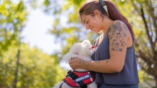 Woman stroking service dog outside in the park