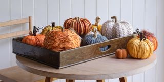 a tray full of pumpkins made from different materials, knitted, felt, rattan, on a table with ship lap wall behind