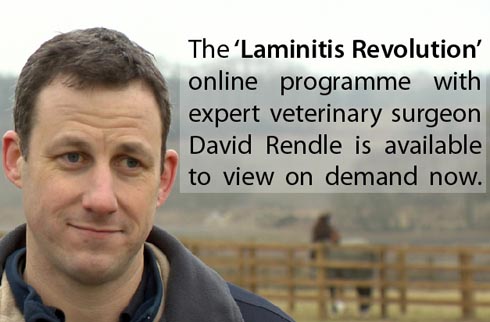 David-RendleFB.jpg.jpg
