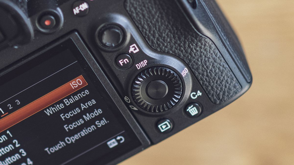 Essential Sony Alpha camera settings TechRadar