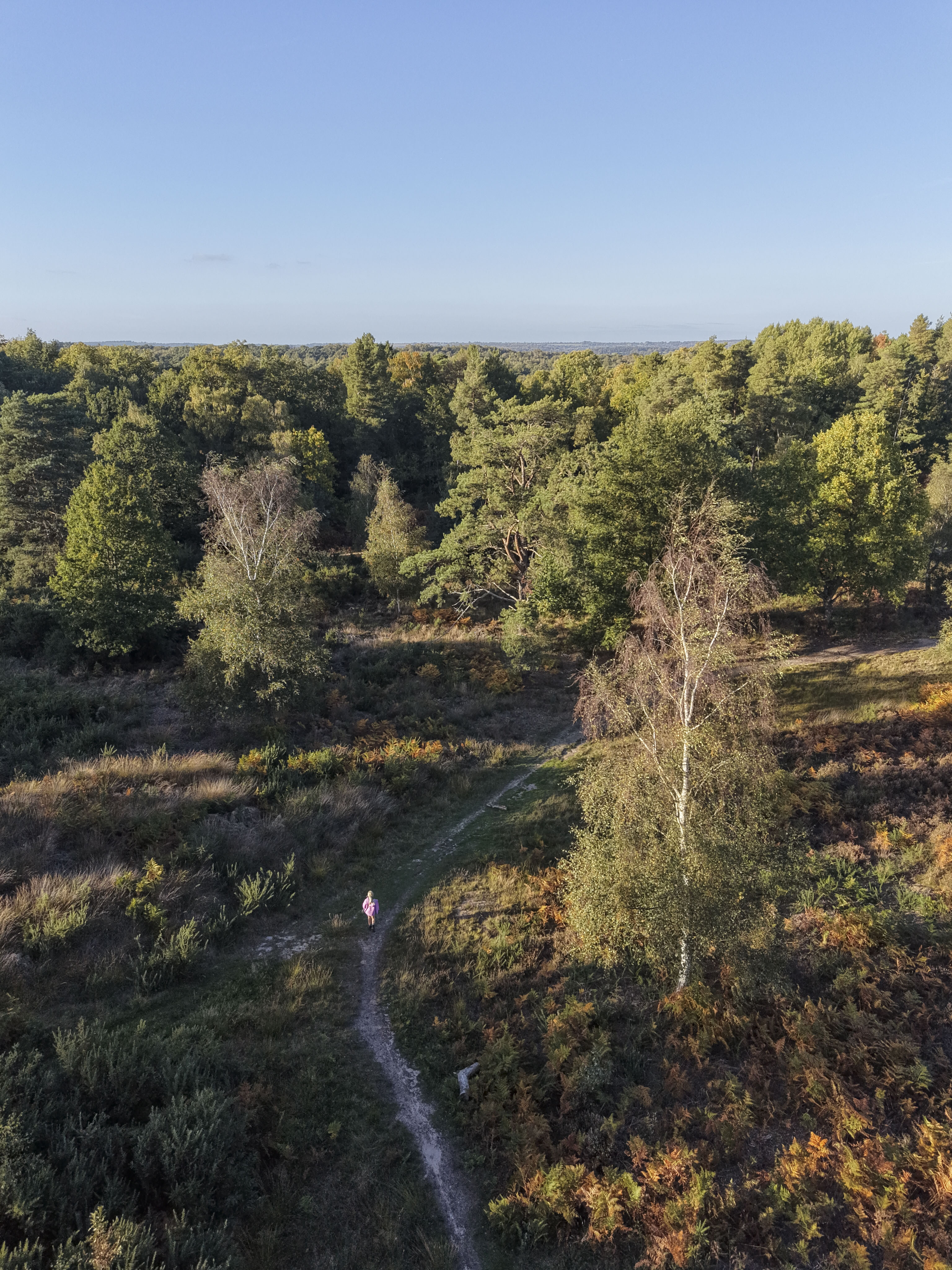 DJI Mini 5 Pro sample images: aerial view of a UK heathland as golden hour, walker on footpath