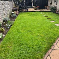 Green grass lawn after scarifying process in garden