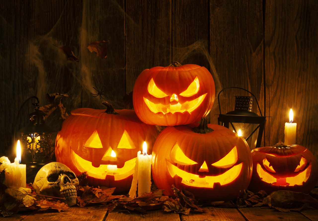 An array of Halloween pumpkins with some candles, skulls, leaves and cobwebs.