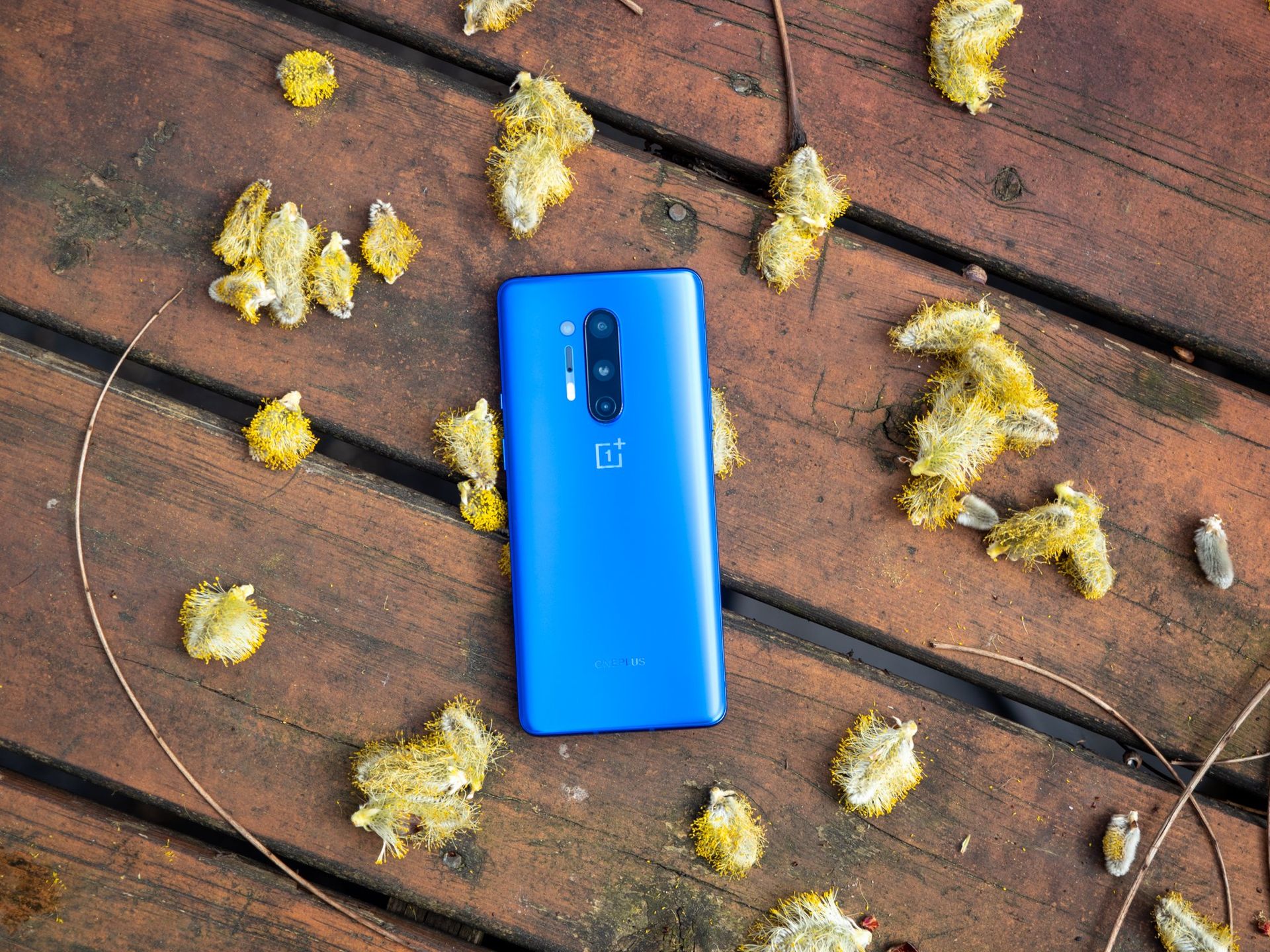 Do you feel safe buying OnePlus phones? Android Central