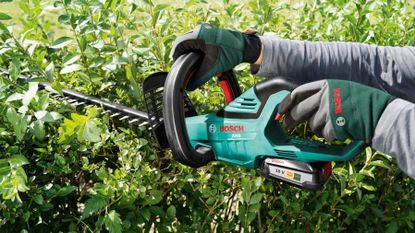 person using the Bosch AHS 50-20 Lithium-Ion Hedgecutter, the best cordless hedge trimmer in our round-up, on a hedge