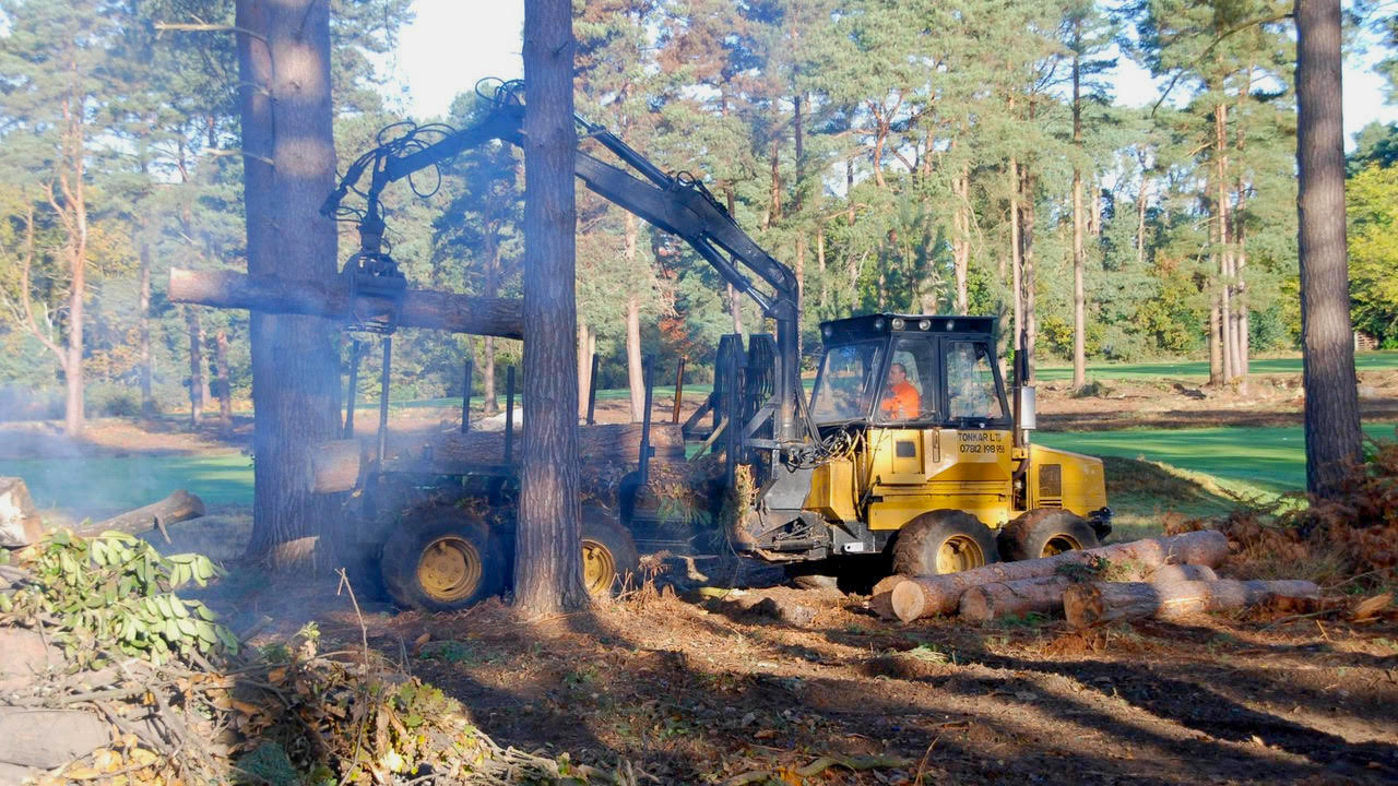Cutting down trees beside a golf fairway