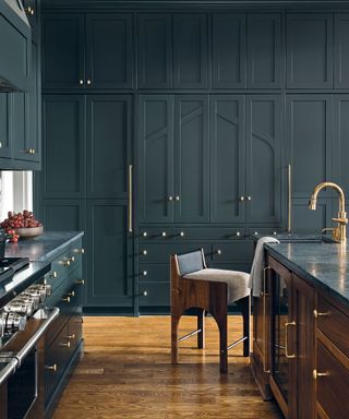 Black kitchen with dark kitchen cabinet ideas