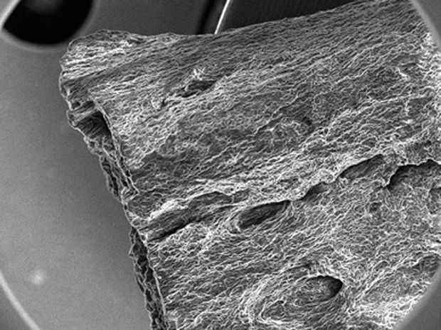 Scanning electron microscope picture of cyberwood, a hybrid material made of tobacco laced with carbon nanotubes.