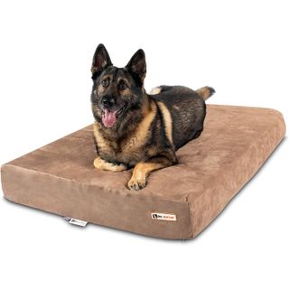 Big Barker Sleek Orthopedic Dog Bed