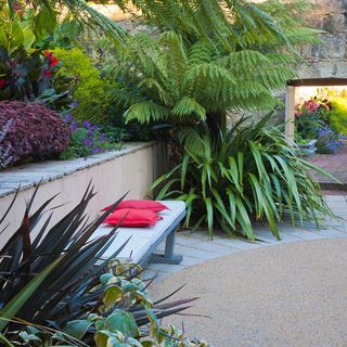 garden with plants and tree grey seat with red cushion