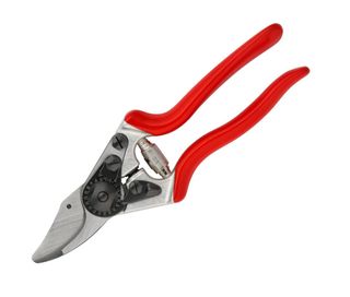 Felco f6 pruning shearers