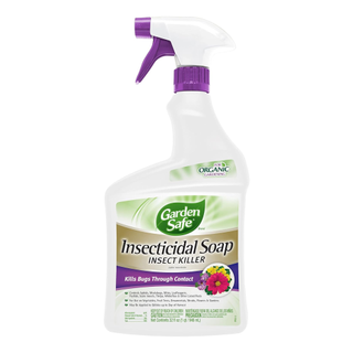 A spray bottle of insecticidal soap for plants