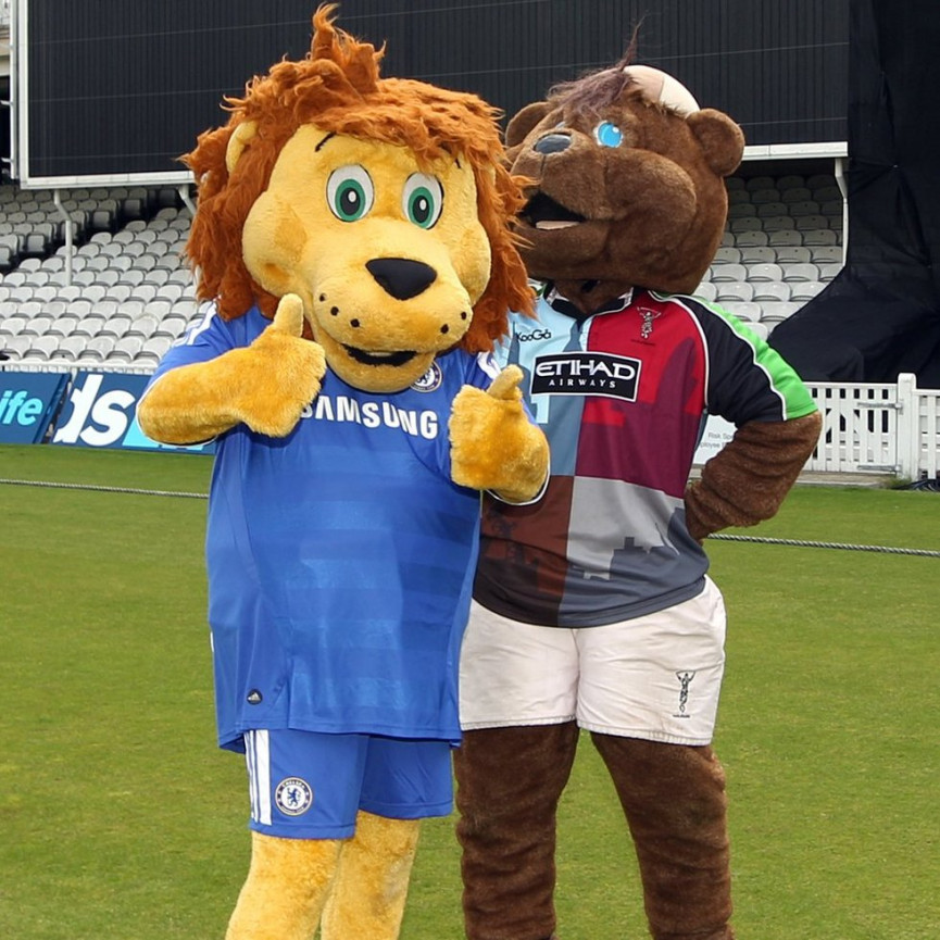 this-seasons-premier-league-mascots-ranked-14-1556679157-y887-column-width-inline