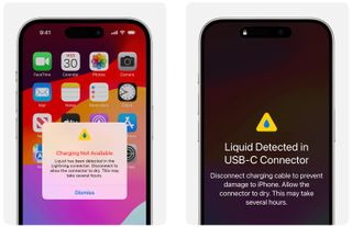 Apple liquid detection method