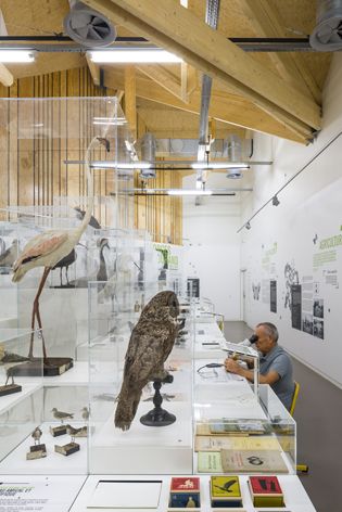 Biodiversity museum and research centre, Beautour / La Roche sur Yon