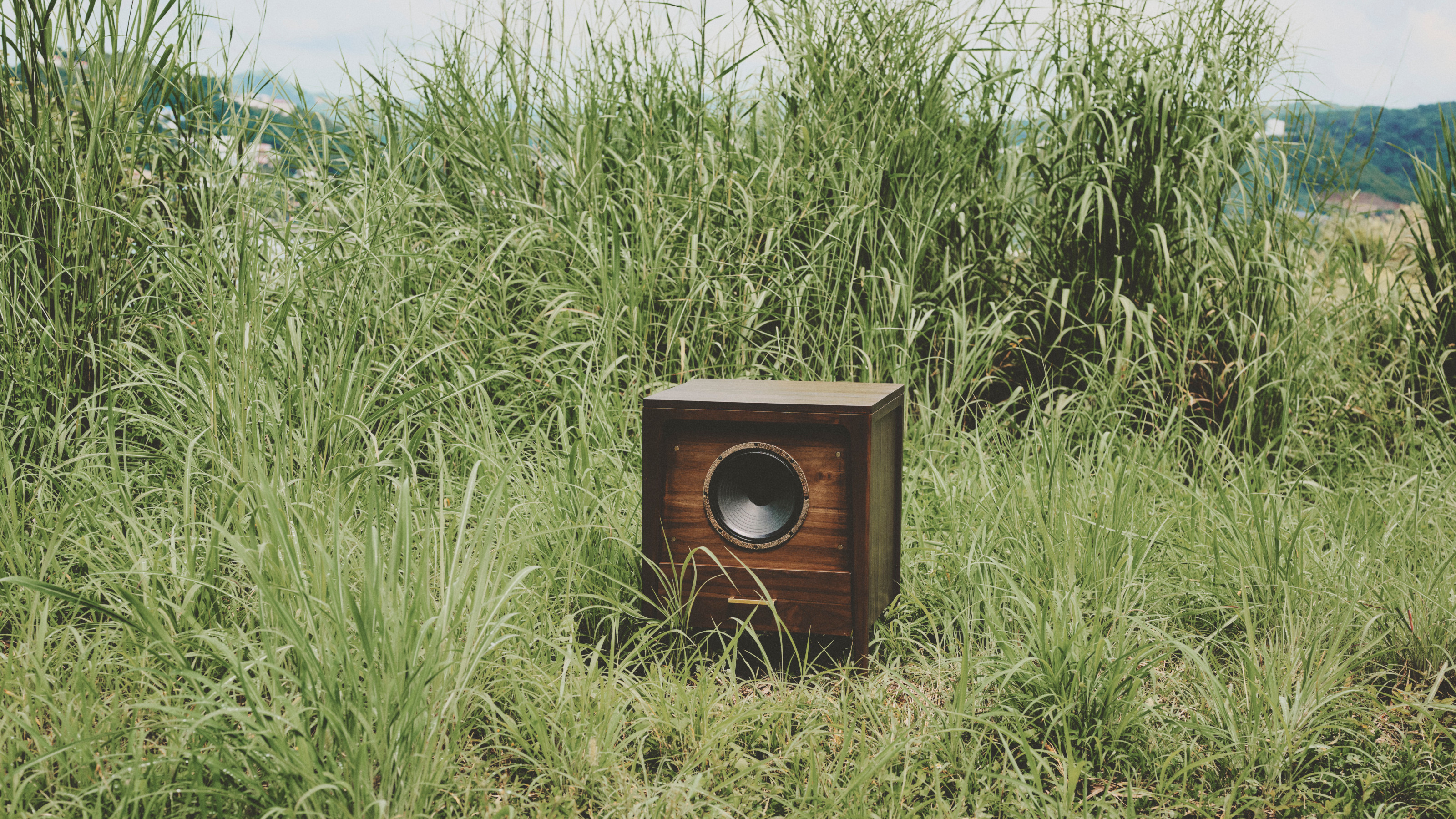 Sonoforma Rhapsody guitar cabinet