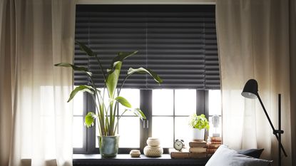 A window with houseplants and books on the window sill, and a blackout blind