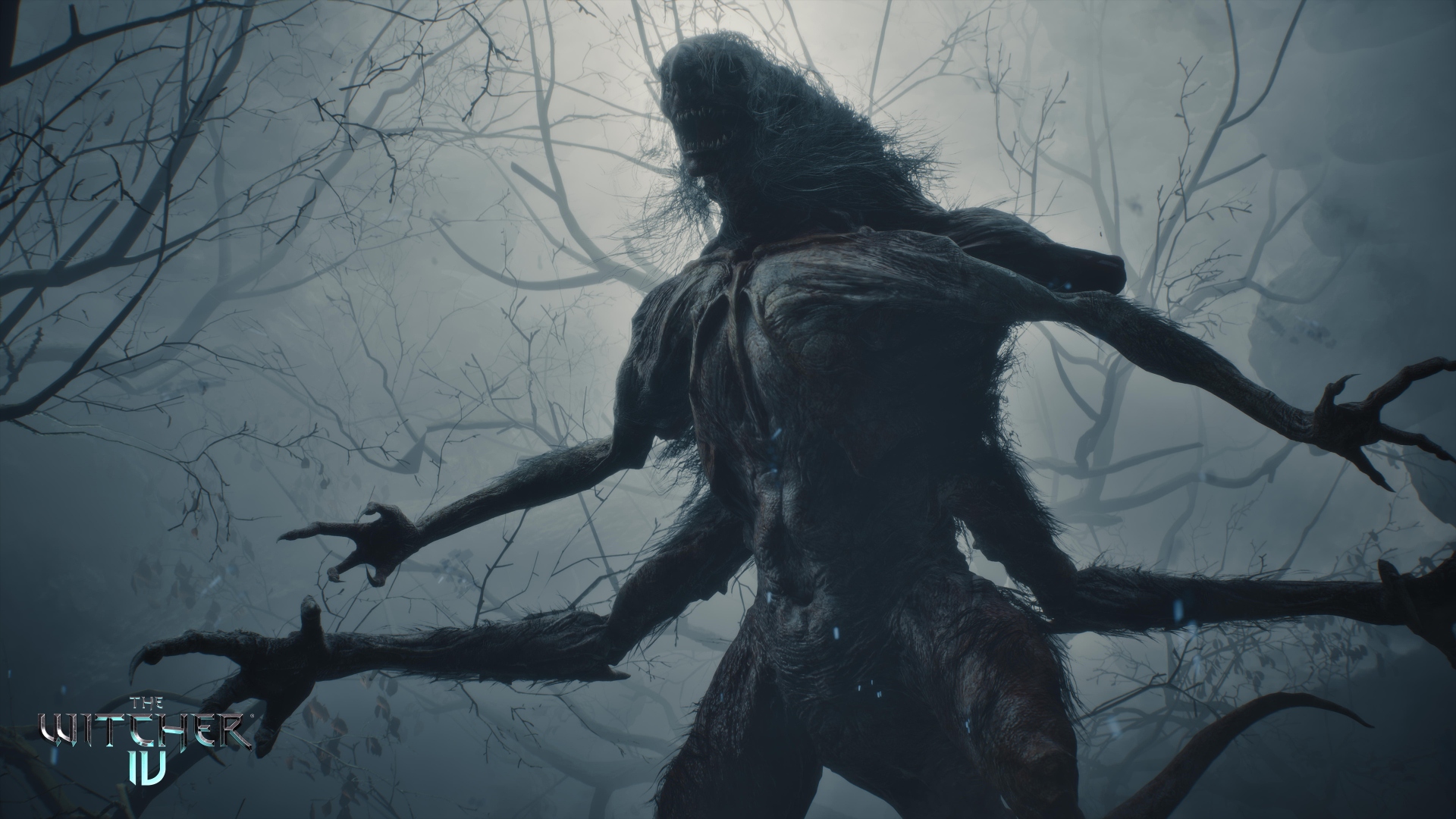 The Bauk in The Witcher 4