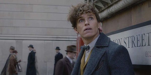 Newt Scamander