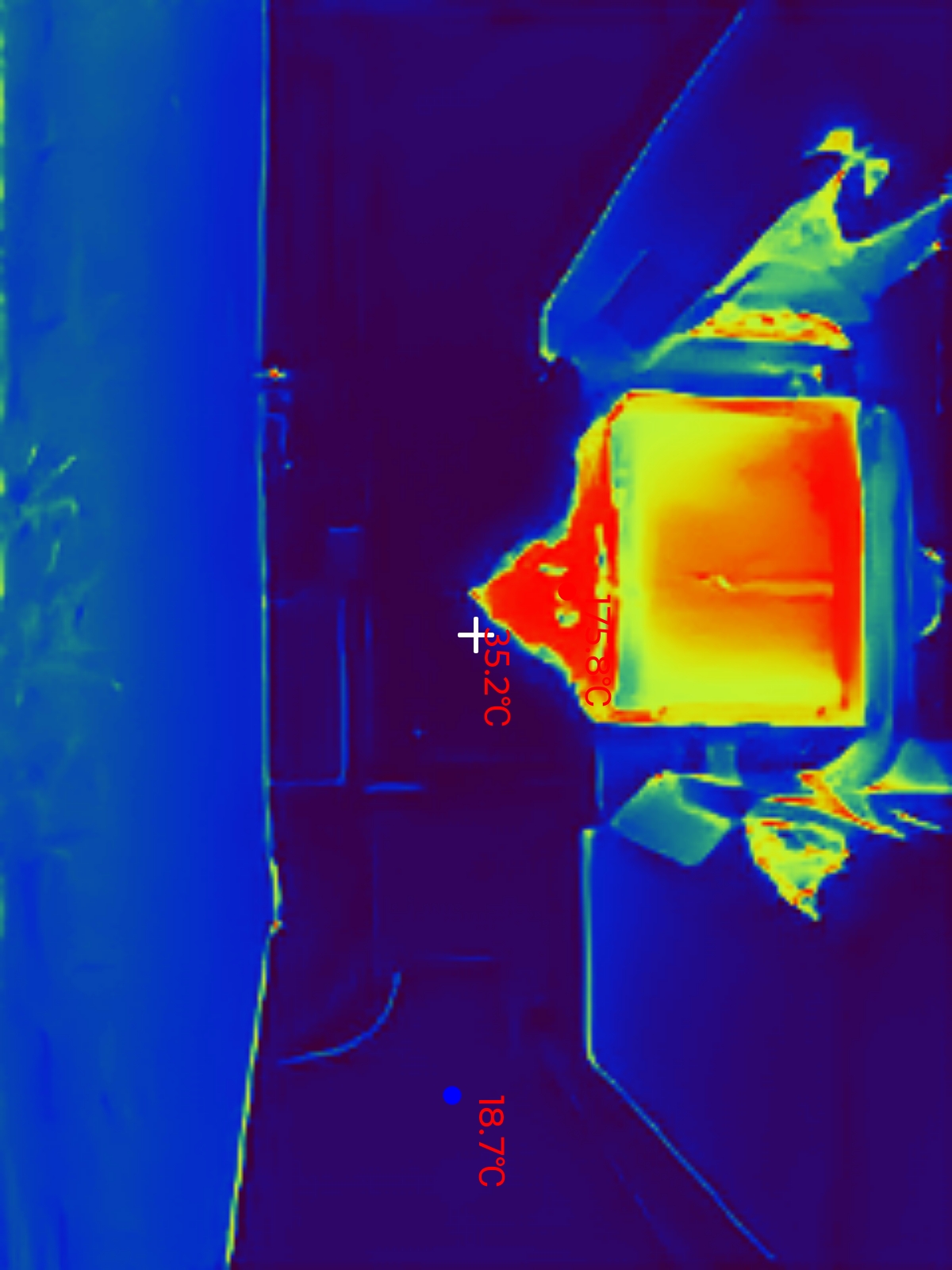 Thermal Master P1 Example captures