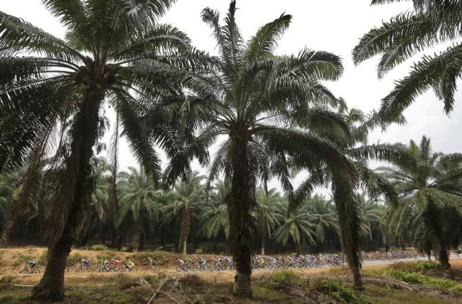 The race passed through the Malaysian jungle