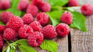 Raspberries